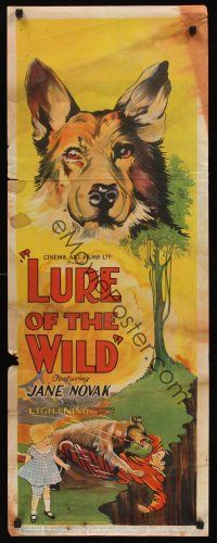 9y041 LURE OF THE WILD long Aust daybill '25 large stone litho images of Lightning the Wonder Dog!