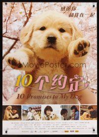 9y107 10 PROMISES TO MY DOG Chinese 27x39 '08 Katsuhide Motoki, cutest puppy image!