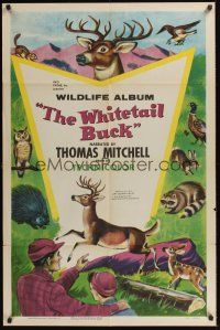 1a975 WHITETAIL BUCK 1sh '55 RKO nature documentary, art of deer & forest animals!