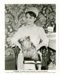 1m017 CHARADE candid 8x10 still '63 sexy Audrey Hepburn & her dog watch Cary Grant film a scene!