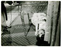 1m010 LOVE IN THE AFTERNOON 7x9.25 Dutch news photo '57 Audrey Hepburn laying on floor under table!
