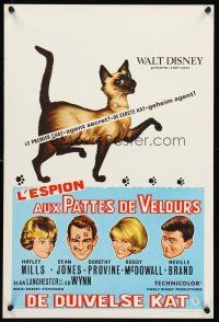 1r749 THAT DARN CAT Belgian '65 great art of Hayley Mills & Disney Siamese feline!