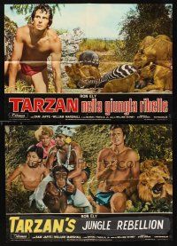 1r383 TARZAN'S JUNGLE REBELLION 2 Italian photobustas '71 Ron Ely in loincloth, cool action images!