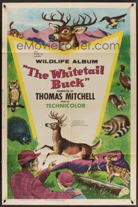 1w964 WHITETAIL BUCK 1sh '55 RKO nature documentary, art of deer & forest animals!