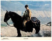 1x673 LADYHAWKE color 11x14 still '85 young Matthew Broderick on horse with wounded hawk!