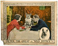 1x021 WILD JUSTICE LC '25 Peter the Great German Shepherd dog sits with couple at dinner table!