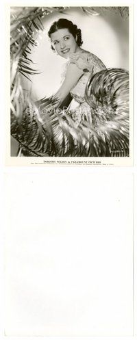 2a172 DOROTHY WILSON 8x10 still '34 cool portrait of the pretty actress surrounded by palm leaves!