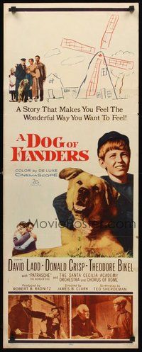 2d136 DOG OF FLANDERS insert '59 Donald Crisp, David Ladd & his huge beloved dog Patrasche!