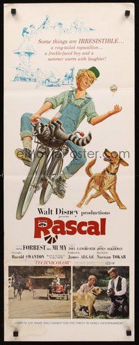 2d416 RASCAL insert '69 Walt Disney, great art of Bill Mumy on bike with raccoon & dog!