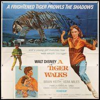 2f333 TIGER WALKS 6sh '64 Walt Disney, art of Brian Keith, Vera Miles & huge prowling tiger!