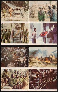 2g090 BATTLE FOR THE PLANET OF THE APES 8 color 11x14 stills '73 Roddy McDowall, sci-fi sequel!