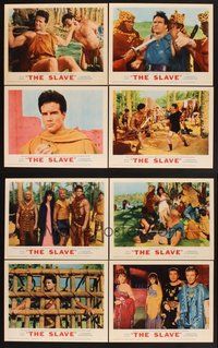 2g822 SLAVE 8 LCs '63 Il Figlio di Spartacus, art of Steve Reeves as the son of Spartacus!