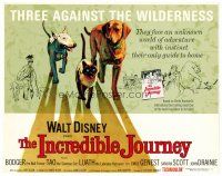 2j404 INCREDIBLE JOURNEY TC '63 Disney, art of Bull Terrier, Siamese cat & Labrador Retriever!