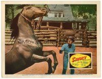 2j737 SMOKY LC '46 great close up of Fred MacMurray trying to train his horse!