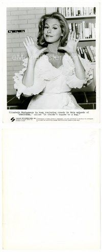 2k300 ELIZABETH MONTGOMERY TV 8x10 still '67 magically creating comedy in her Bewitched series!