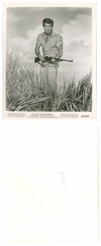 2k349 GEORGE NADER 8x10 still '56 full-length in tall grass holding rifle from Congo Crossing!