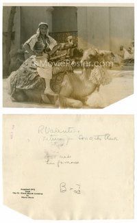 2k714 SON OF THE SHEIK 7.75x9.5 still '26 Rudolph Valentino sitting on kneeling camel!