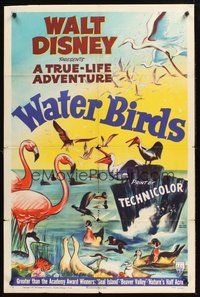 2p959 WATER BIRDS style A 1sh '52 great art from Walt Disney True Life Adventure!