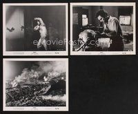 2r429 BUG 3 8x10 stills '75 insect horror, the picture you see with your eyes closed!