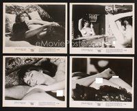 2r231 FEMALE FEVER 7 8x10 stills '77 wild images of sexy topless LuAnne Roberts!