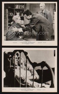 2r500 HATFUL OF RAIN 2 8x10 stills '57 Zinnemann early drug classic, Eva Marie Saint, Don Murray