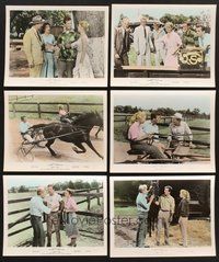 2r593 APRIL LOVE 10 color 8x10 stills '57 Pat Boone, sexy Shirley Jones, horse racing!