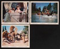 2r933 BEND OF THE RIVER 3 color 8x10 stills '52 Jimmy Stewart, Julia Adams, directed by Anthony Mann