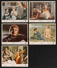 2r856 DEVIL'S OWN 5 color 8x10 stills '67 Hammer, Joan Fontaine, Kay Walsh, Alec McCowen!