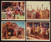 2r904 JUPITER'S DARLING 4 color 8x10 stills '55 Esther Williams, Howard Keel, Marge & Gower Champion