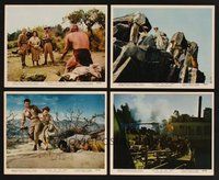 2r920 TARZAN THE APE MAN 4 color 8x10 stills '59 Edgar Rice Burroughs, Denny Miller, Joanna Barnes