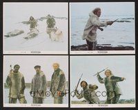 2r814 WHITE DAWN 8 8x10 mini LCs '74 Warren Oates, Timothy Bottoms & Lou Gossett in Arctic Canada!