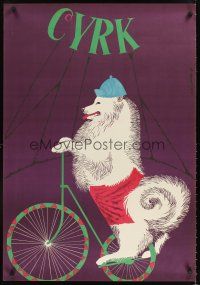 3b480 CYRK Polish circus poster '73 Gustaw Majewski art of bicycle riding dog!