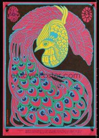 3c298 QUICKSILVER MESSENGER SERVICE MILLER BLUES BAND THE DAILY FLASH concert poster '67 peacock!