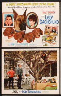 3f104 UGLY DACHSHUND 9 11x14 stills '66 Walt Disney, great art of Great Dane with wiener dogs!
