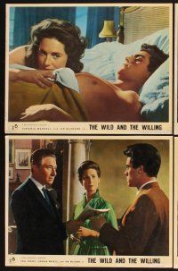 3f877 YOUNG & WILLING 8 ItalEnglish LCs '64 Virginia Maskell, Ian McShane, English college sex!