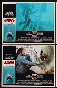 3f440 JAWS 8 LCs '75 Roy Scheider, Robert Shaw, Richard Dreyfuss, Steven Spielberg's shark classic!