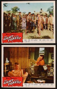 3f484 LIGHT IN THE FOREST 8 LCs '58 Disney, images of James MacArthur & Carol Lynley!