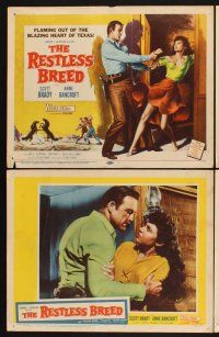 3f628 RESTLESS BREED 8 LCs '57 cool images of cowboy Scott Brady & sexy young Anne Bancroft!