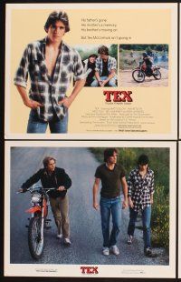 3f761 TEX 8 LCs '82 young Matt Dillon, Meg Tilly & Emilio Estevez, from S.E. Hinton's novel!
