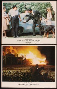 3f766 THEY ONLY KILL THEIR MASTERS 8 LCs '72 Katharine Ross, James Garner & Doberman Pincer dog!