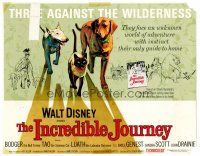 3h037 INCREDIBLE JOURNEY TC '63 Disney, art of Bull Terrier, Siamese cat & Labrador Retriever!