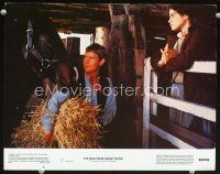 3h551 MAN FROM SNOWY RIVER color 11x14 #8 '82 Sigrid Thornton watches Tom Burlinson feed horse!
