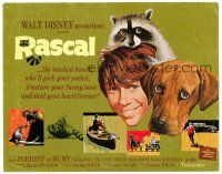 3h066 RASCAL TC '69 Walt Disney, great art of Bill Mumy on bike with raccoon & dog!