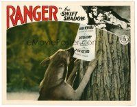 3h750 SWIFT SHADOW LC '27 cool close up of Ranger the German Shepherd pulling down reward sign!