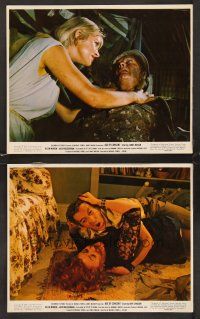 3j857 AGE OF CONSENT 2 color 8x10 stills '69 Michael Powell directed, great images of fights!