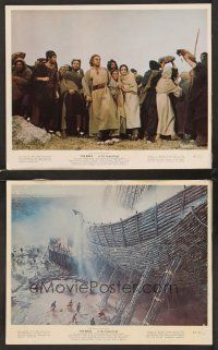 3j862 BIBLE 2 color 8x10 stills '67 La Bibbia, George C. Scott as Abraham, Noah's ark!