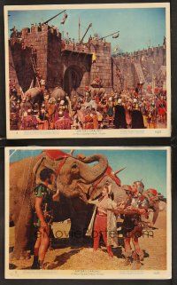 3j905 JUPITER'S DARLING 2 color EngUS 8x10 stills '55 image of sexy Esther Williams & elephants!