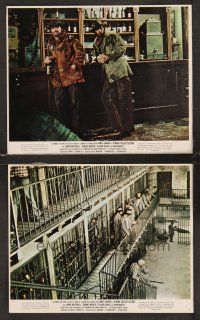 3j915 MAN CALLED SLEDGE 2 color 8x10 stills '70 James Garner in western action, prison image!
