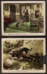 3j930 RETURN OF RIN TIN TIN 2 color 8x10 stills '47 canine animal star takes out bad guy!