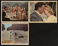 3j834 SANDPIPER 3 color EngUS 8x10 stills '65 Elizabeth Taylor & Richard Burton, tempestuous affair!
